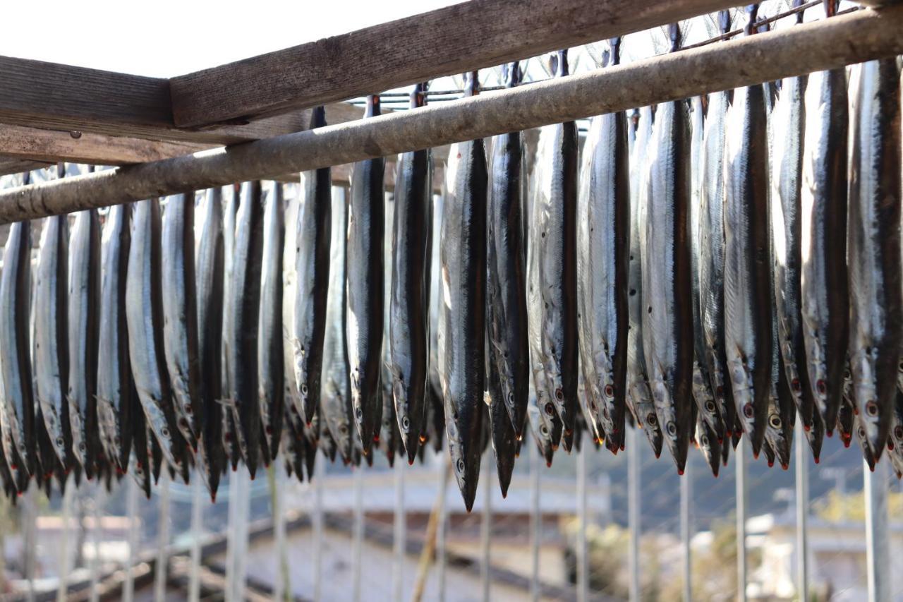 熊野の宿海ひかり Kumano Extérieur photo